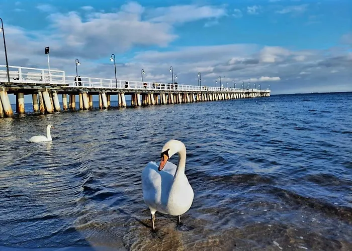 Апартаменти Punkt Сопот